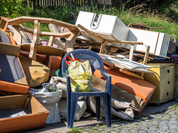 Best Furniture Removal  in Dillingham, AK